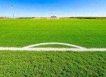 1216x832 16 22 00 23 375275780