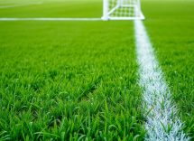 1216x832 17 08 45 28 740562506