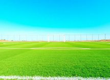 1216x832 19 13 15 27 26208205