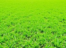 1216x832 20 19 00 44 37802902