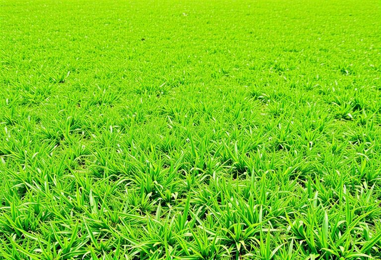 1216x832 20 19 00 44 37802902