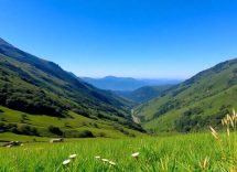 1216x832 21 07 15 17 398227006