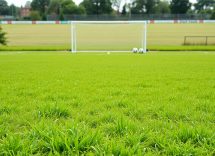 1216x832 21 10 15 25 266394881