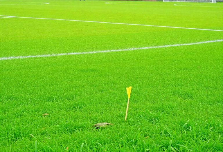 1216x832 23 10 45 19 244905459