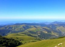 1216x832 25 04 45 15 372047221