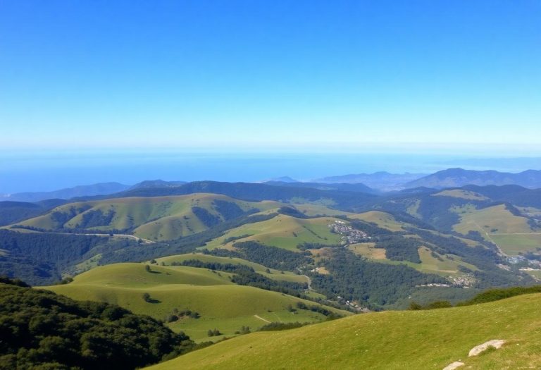 1216x832 25 04 45 15 372047221