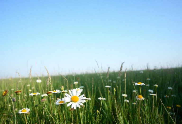 1216x832 30 21 30 26 606530929