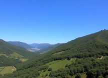 1216x832 04 01 45 17 356124766