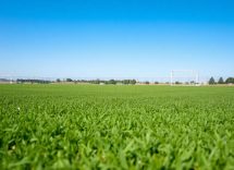 1216x832 05 09 15 25 904108674