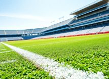 1216x832 06 01 00 25 452505461