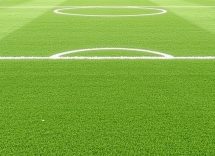 1216x832 07 11 45 21 724467286