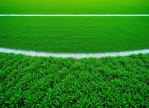 1216x832 08 13 15 21 66588622