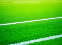 1216x832 10 12 31 00 20868521