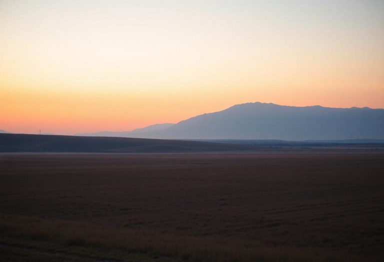 1216x832 11 21 45 41 87550138