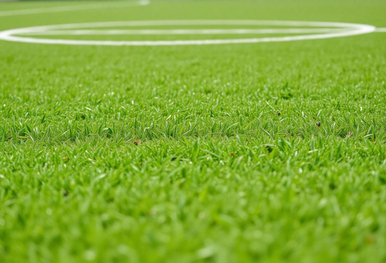 1216x832 11 22 15 19 540448736