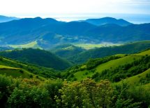 1216x832 12 06 45 16 88822754