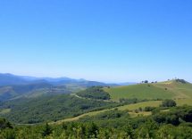 1216x832 13 02 00 17 174426175