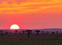 1216x832 13 02 30 29 624184967