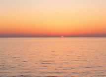 1216x832 13 13 45 22 237442182