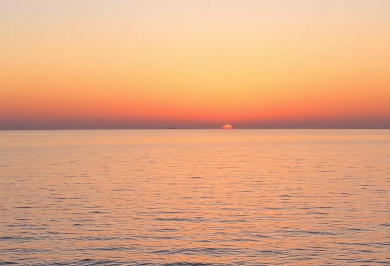 1216x832 13 13 45 22 237442182