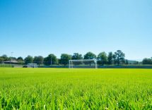 1216x832 15 02 45 21 138530672