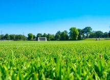 1216x832 17 00 45 22 34833140