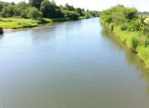 1216x832 19 08 45 23 466654451