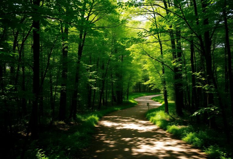 1216x832 20 08 45 23 193554494