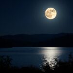 navigating the energies of the full moon lunar eclipse in pisces python 1757156911