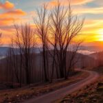 explore decembers astrological highlights and key insights 1764049547